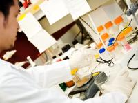 Billedet viser en forsker, arbejder med petriskåle og beholdere i et laboratorium.