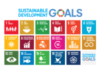 Tegningen viser FN's 17 bæredygtige udviklingsmål.